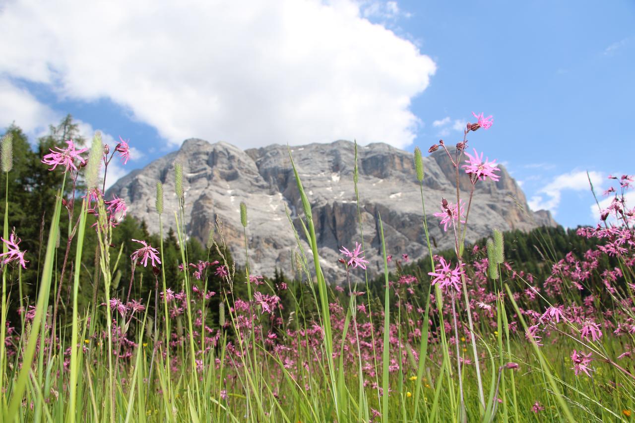 Hotel Alpenrose Dolomites Ла-Валле Екстер'єр фото